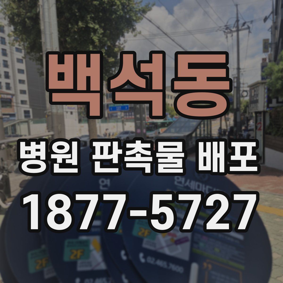 백석동 병원 판촉물 배포