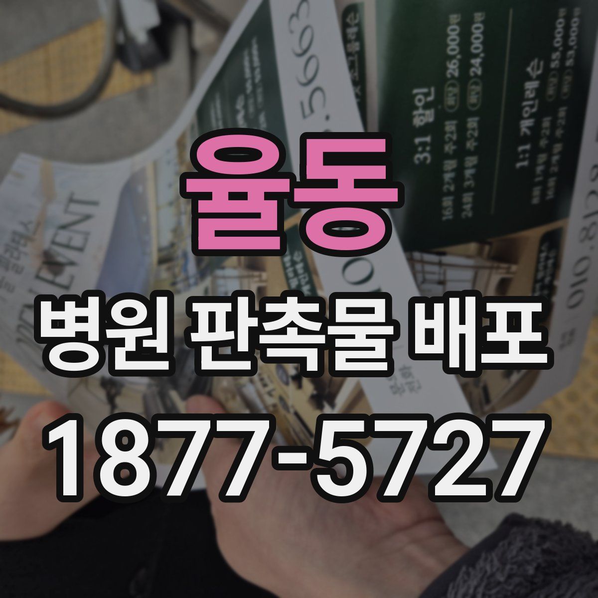 율동 병원 판촉물 배포