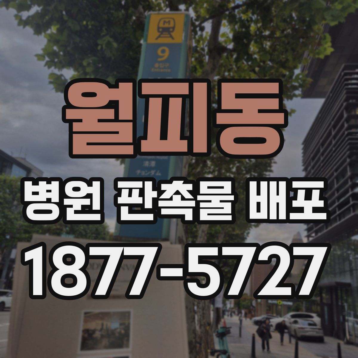 월피동 병원 판촉물 배포