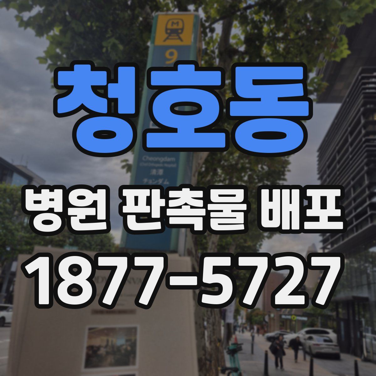 청호동 병원 판촉물 배포