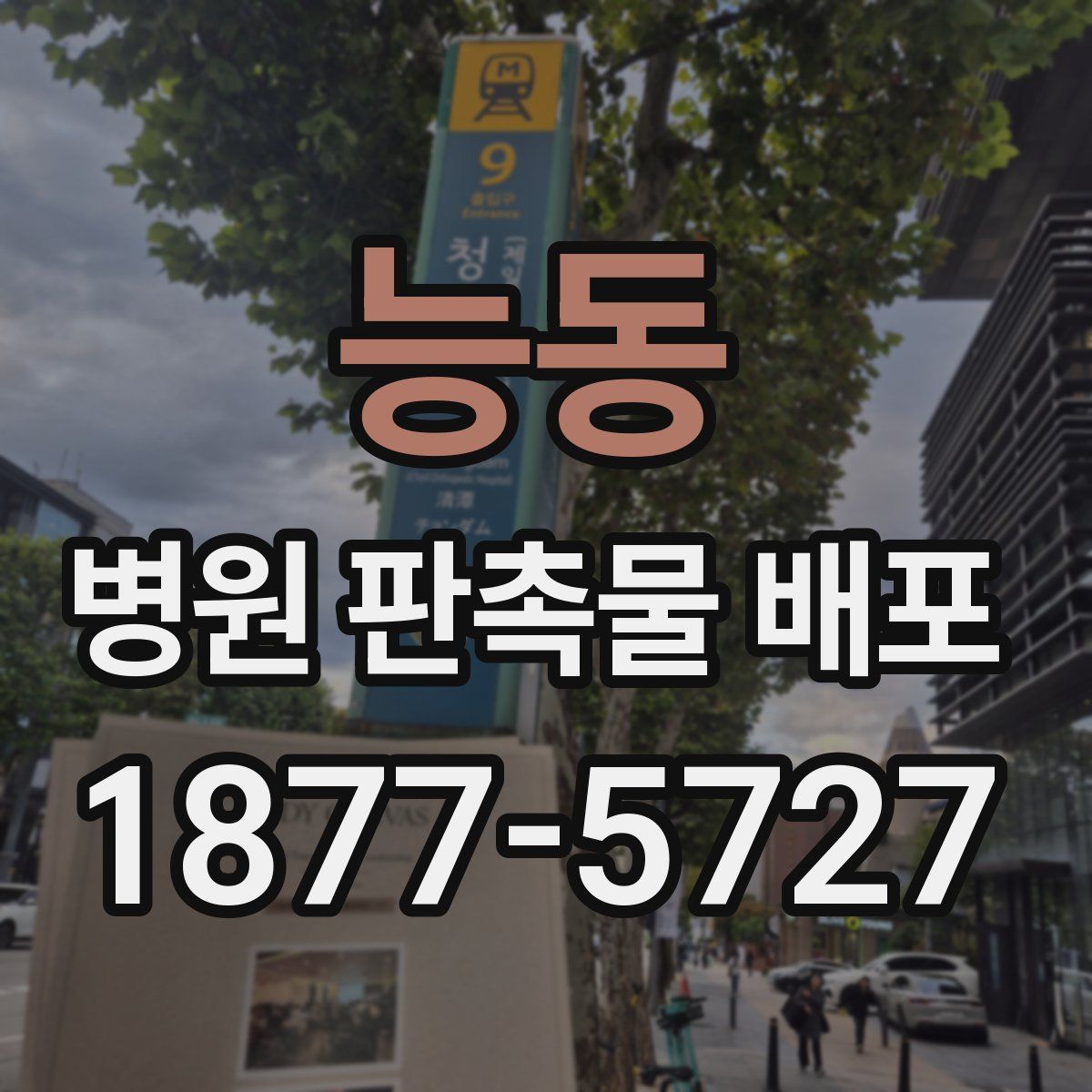 능동 병원 판촉물 배포