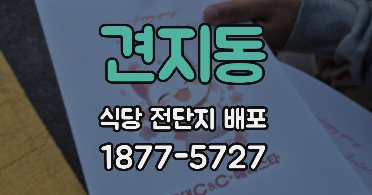견지동 식당 전단지 배포