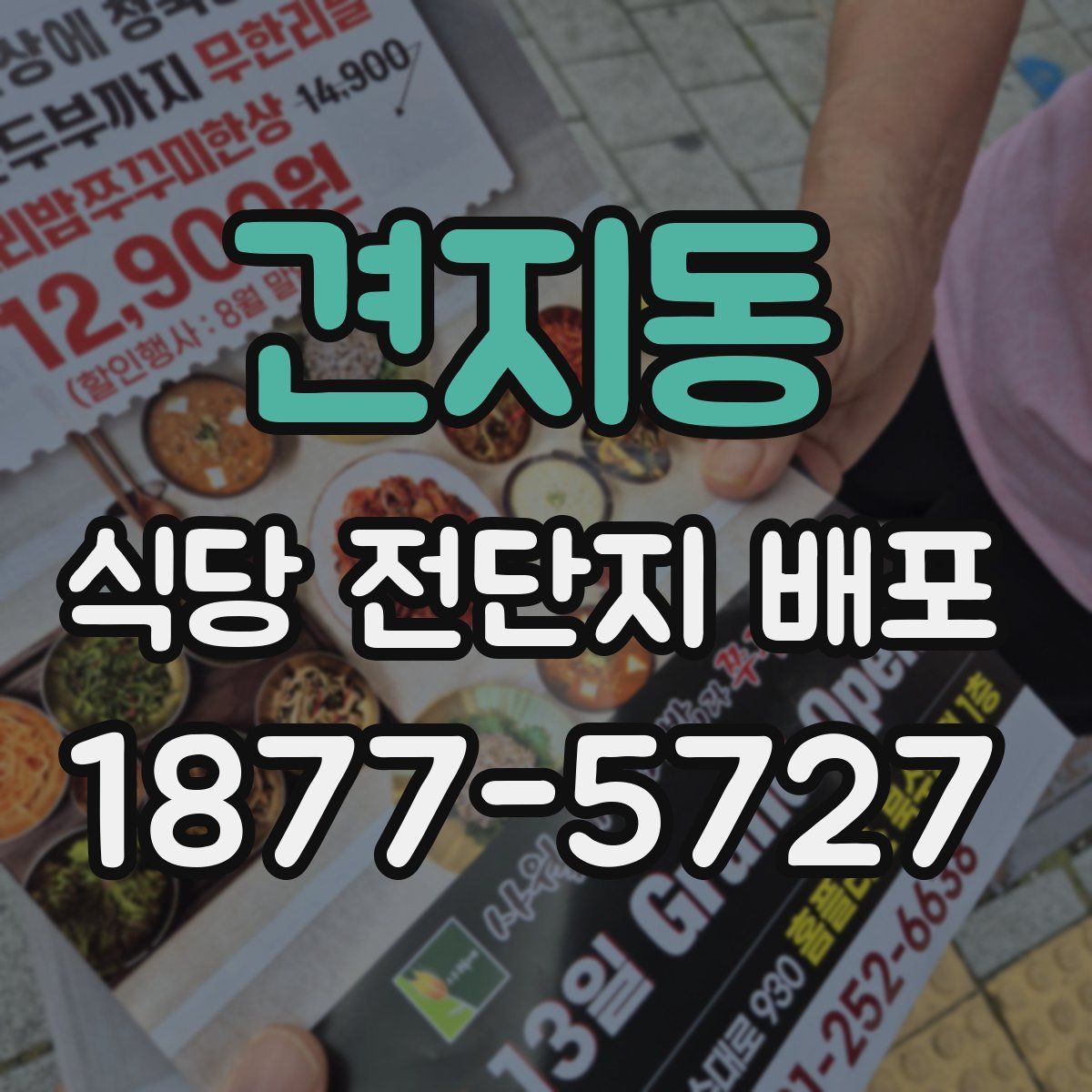 견지동 식당 전단지 배포
