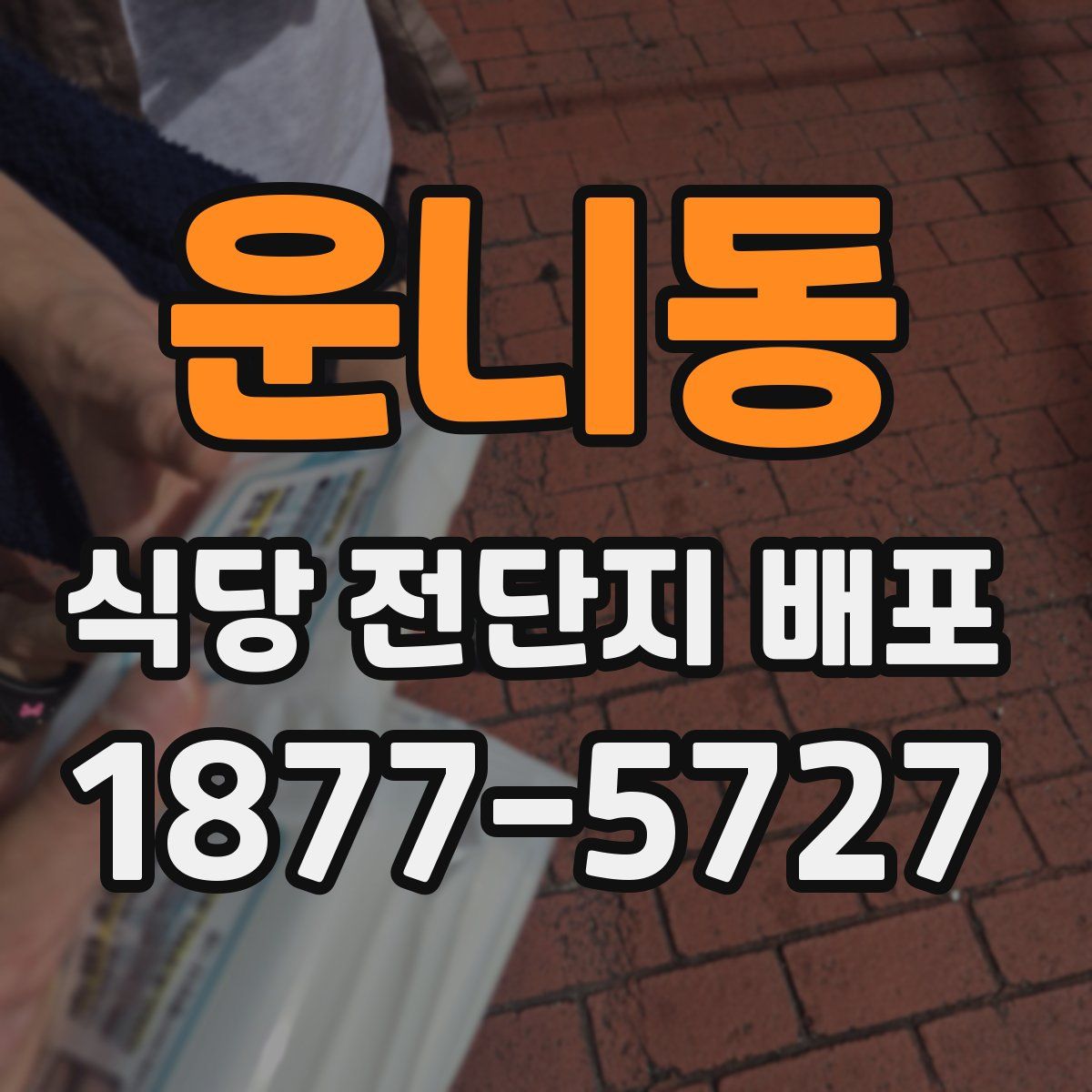 운니동 식당 전단지 배포
