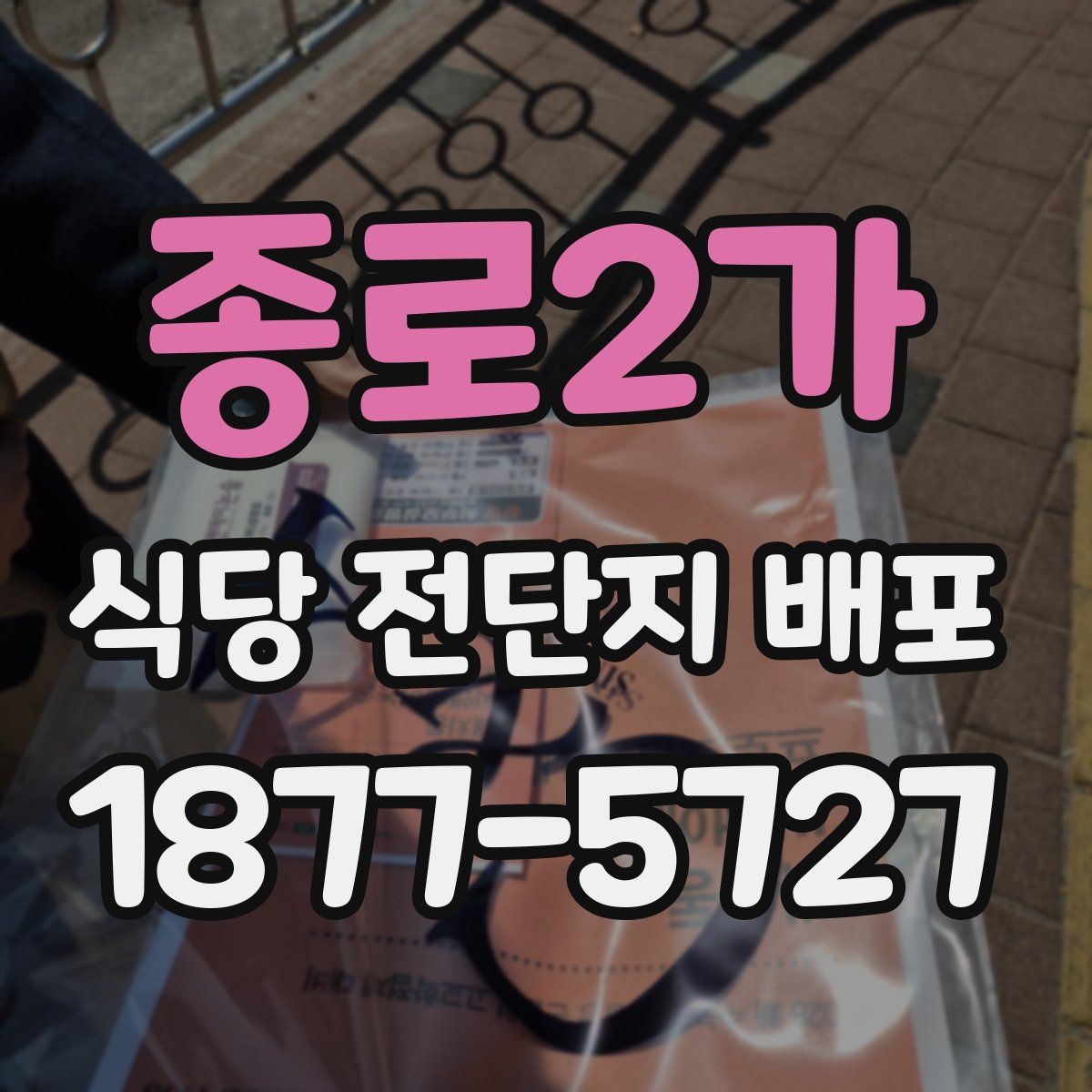 종로2가 식당 전단지 배포