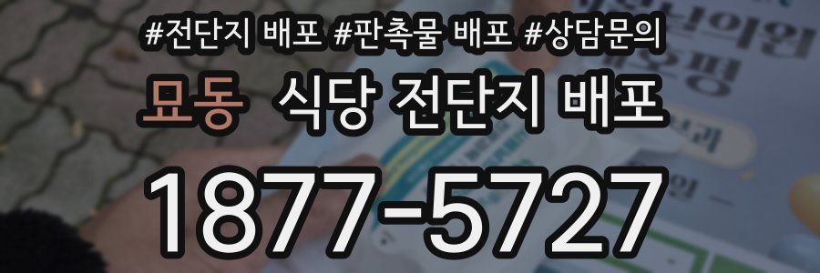 묘동 식당 전단지 배포