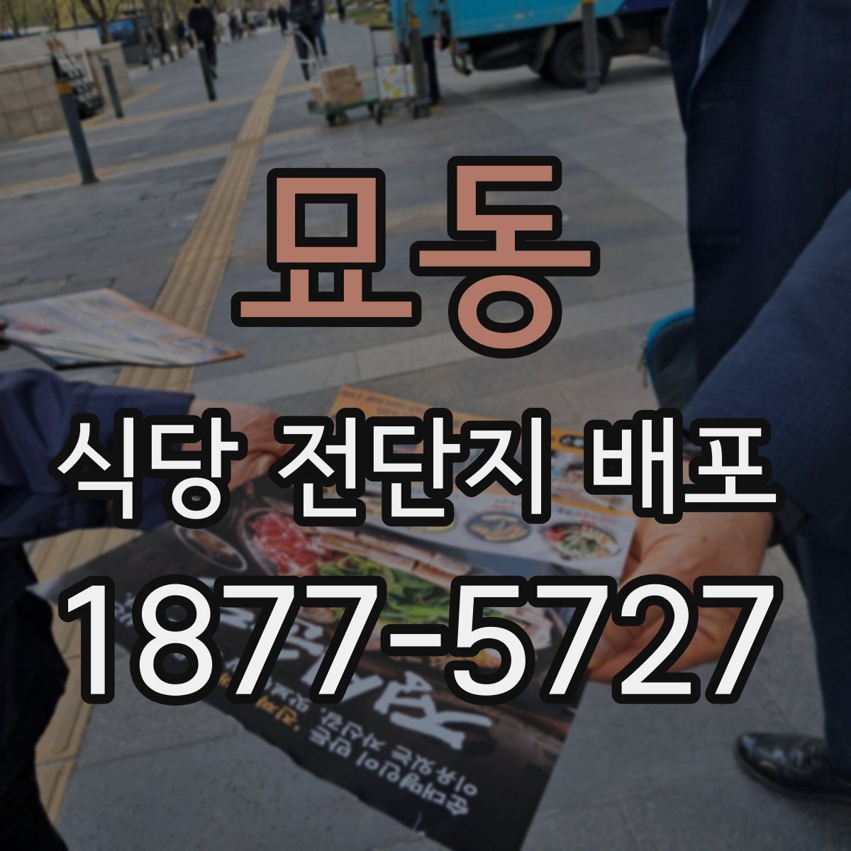 묘동 식당 전단지 배포