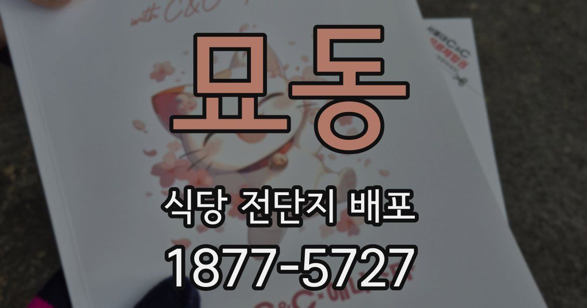 묘동 식당 전단지 배포