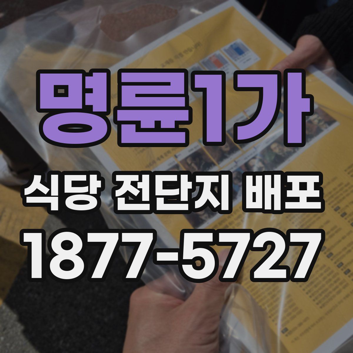 명륜1가 식당 전단지 배포