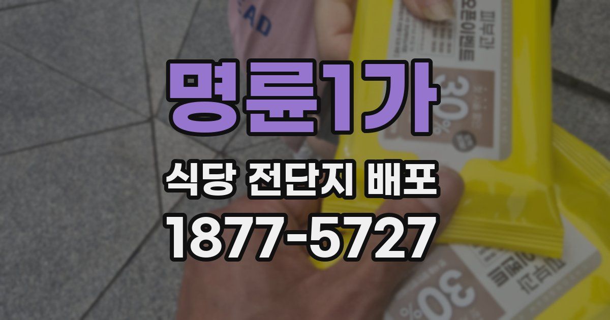 명륜1가 식당 전단지 배포