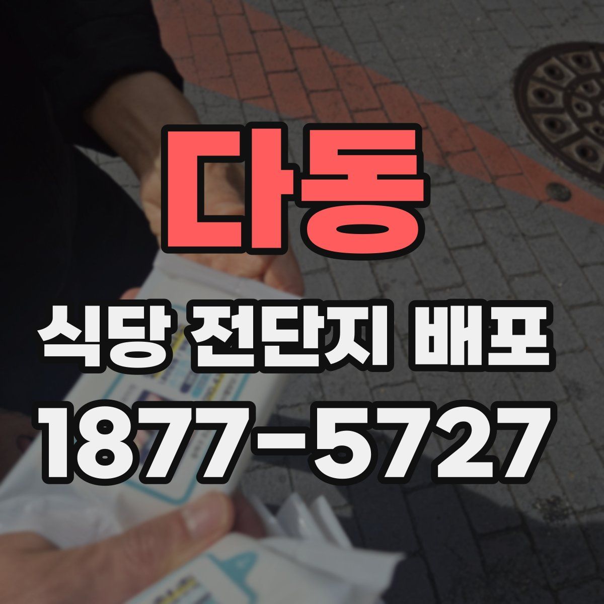 다동 식당 전단지 배포
