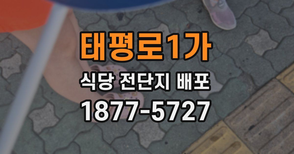 태평로1가 식당 전단지 배포