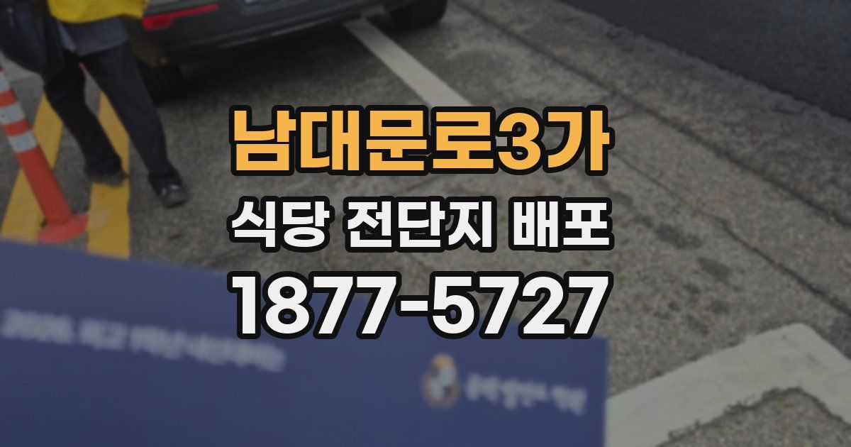 남대문로3가 식당 전단지 배포