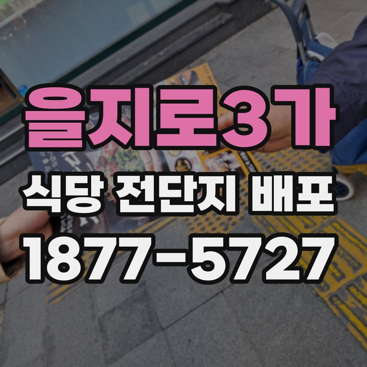 을지로3가 식당 전단지 배포