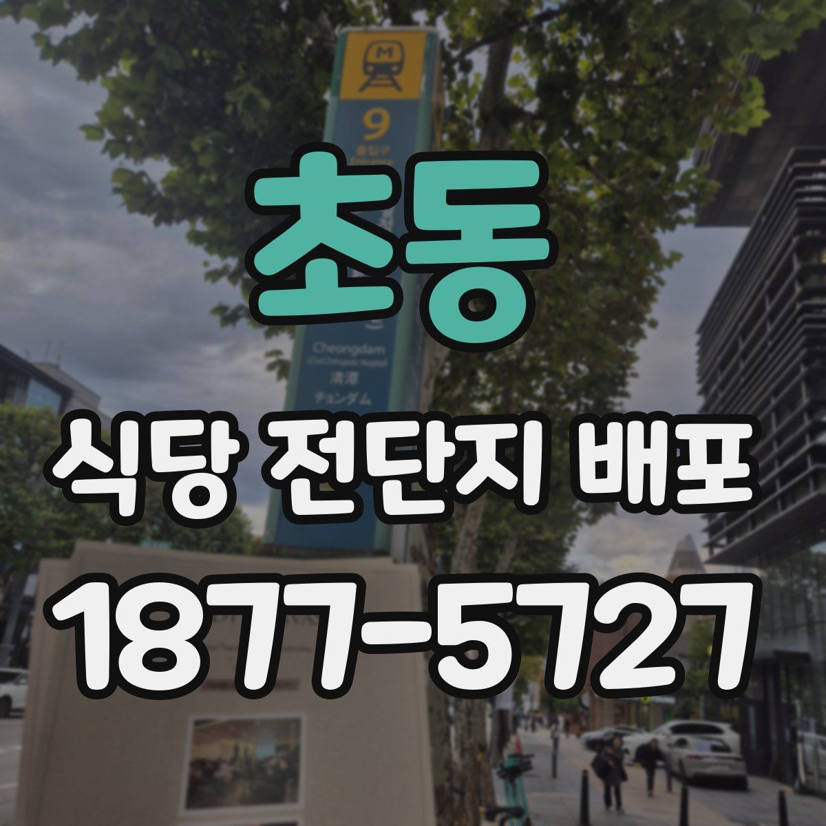 초동 식당 전단지 배포