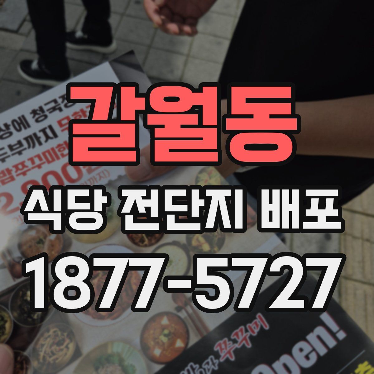 갈월동 식당 전단지 배포