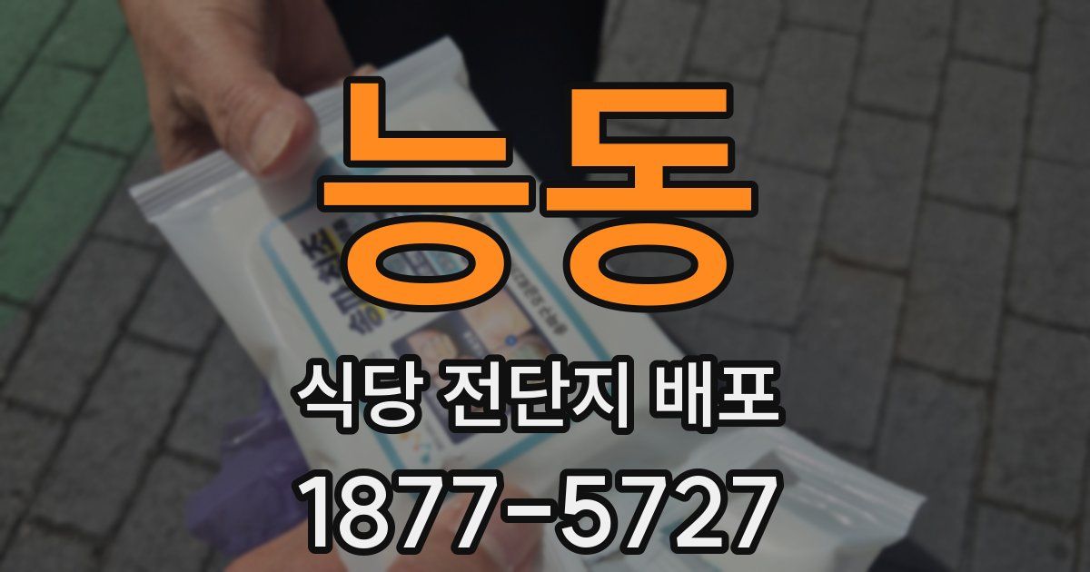 능동 식당 전단지 배포