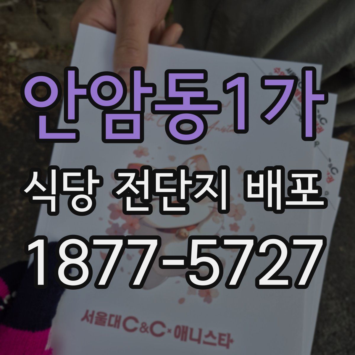 안암동1가 식당 전단지 배포