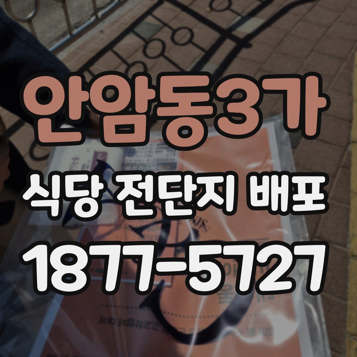 안암동3가 식당 전단지 배포