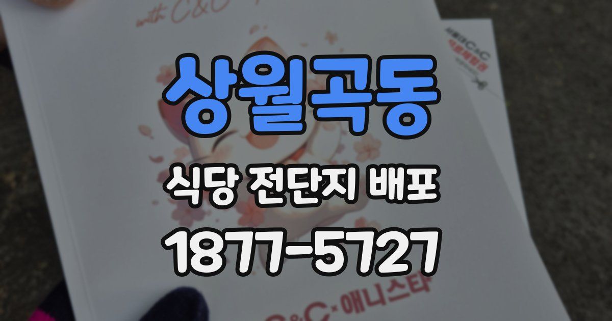 상월곡동 식당 전단지 배포