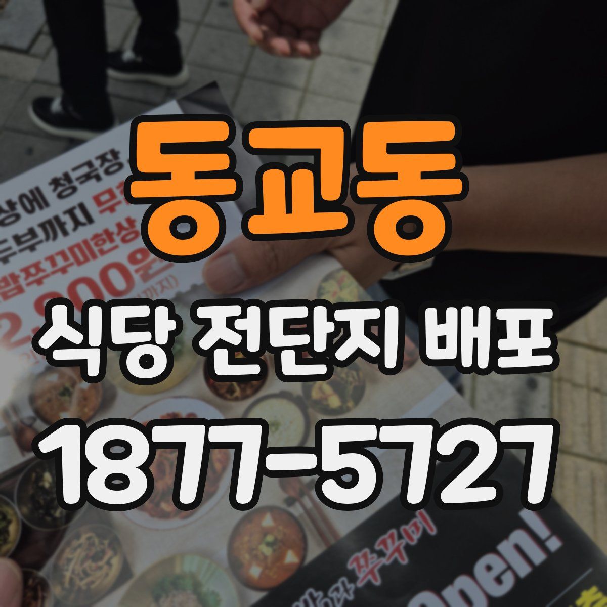 동교동 식당 전단지 배포