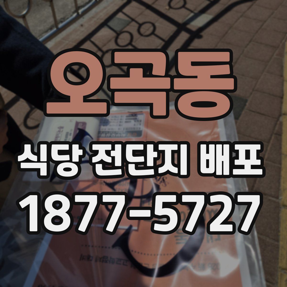 오곡동 식당 전단지 배포