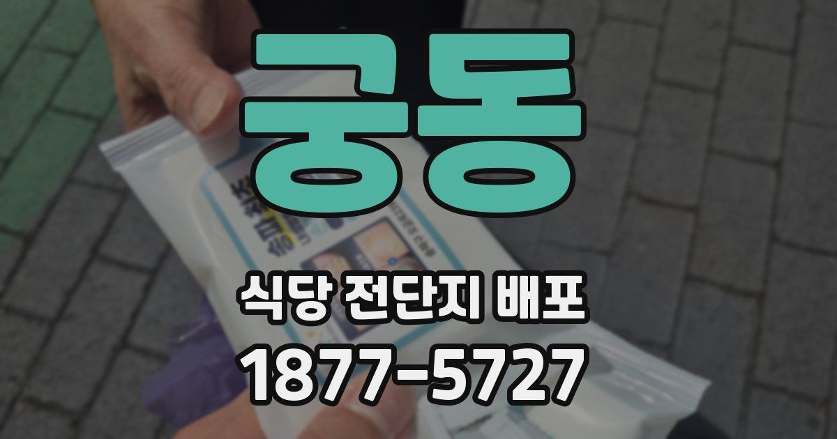 궁동 식당 전단지 배포