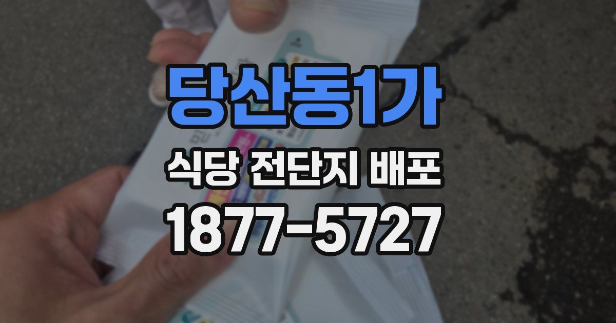 당산동1가 식당 전단지 배포