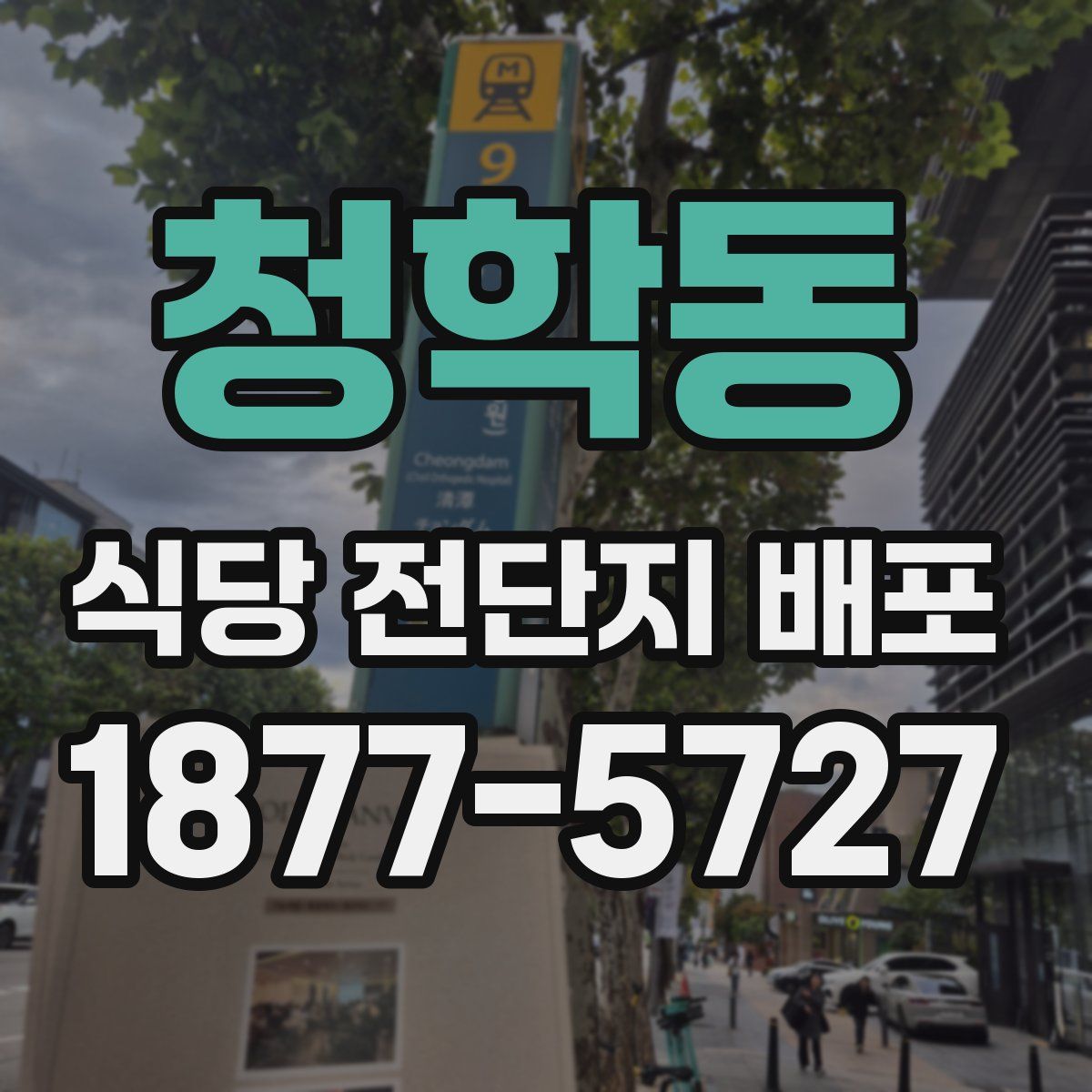 청학동 식당 전단지 배포