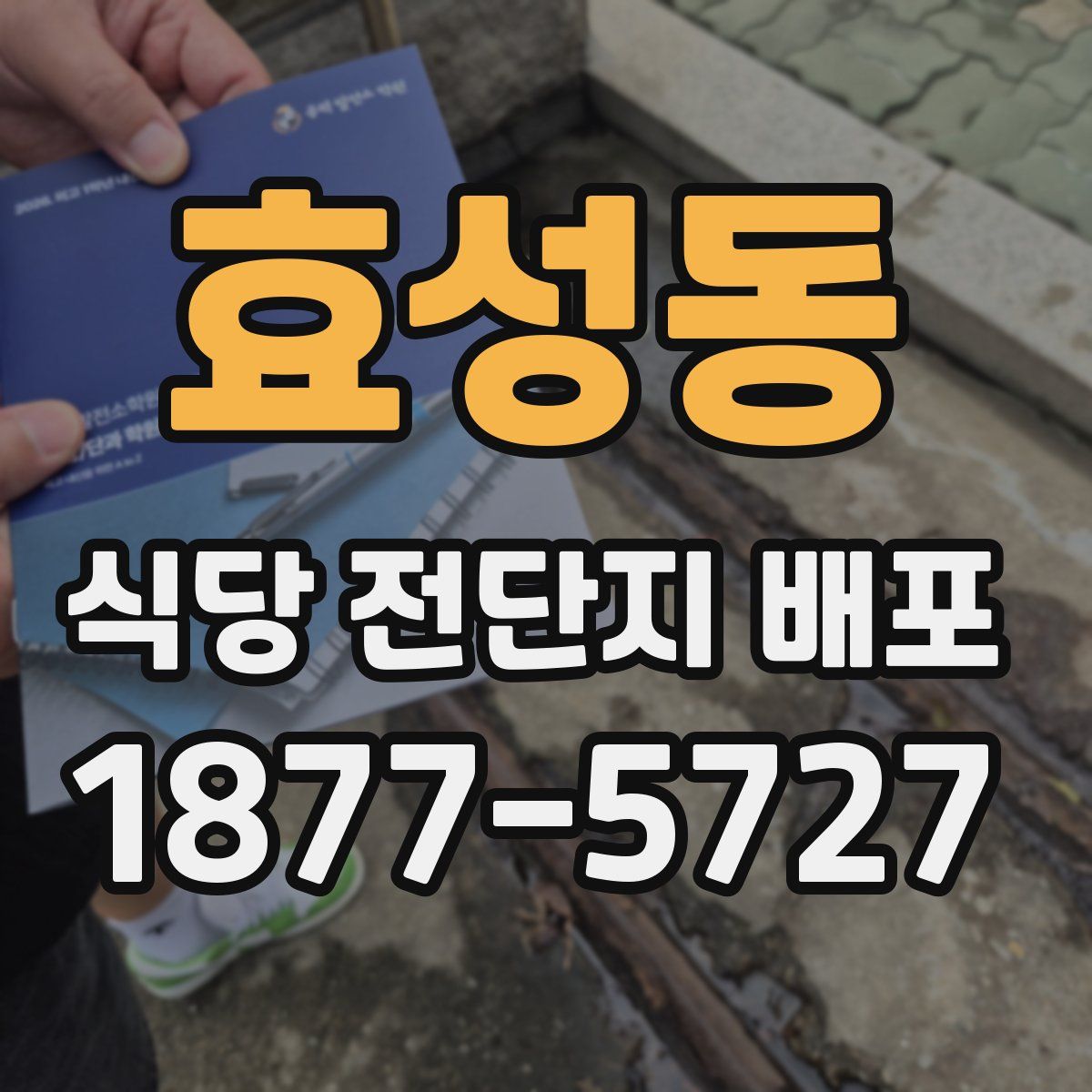 효성동 식당 전단지 배포