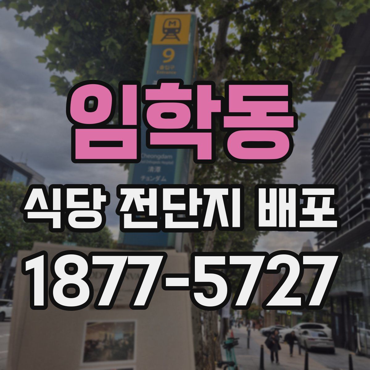 임학동 식당 전단지 배포