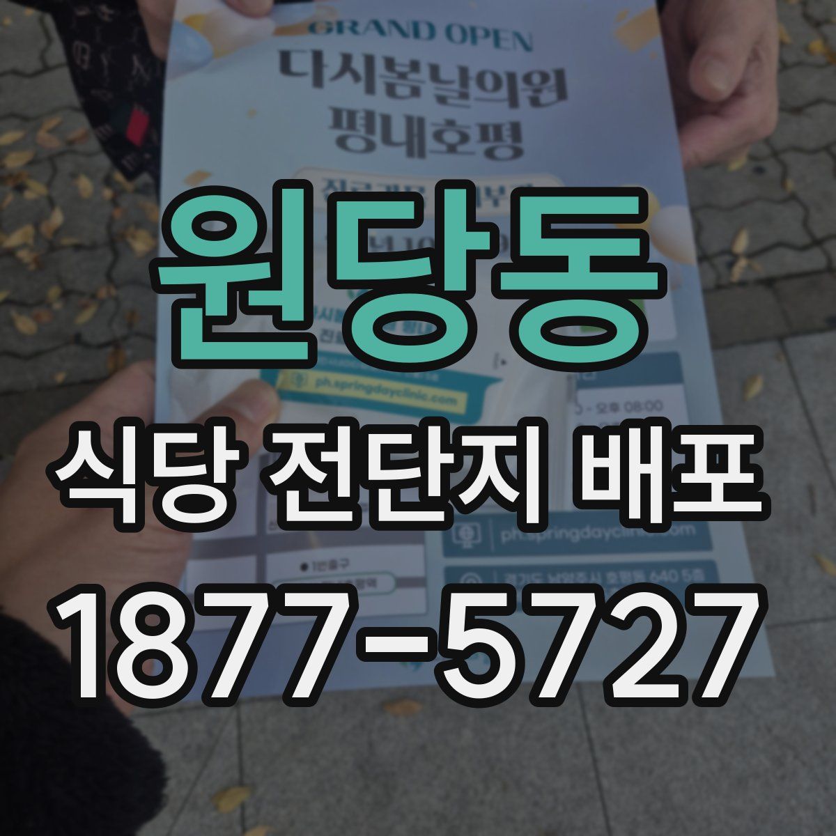 원당동 식당 전단지 배포