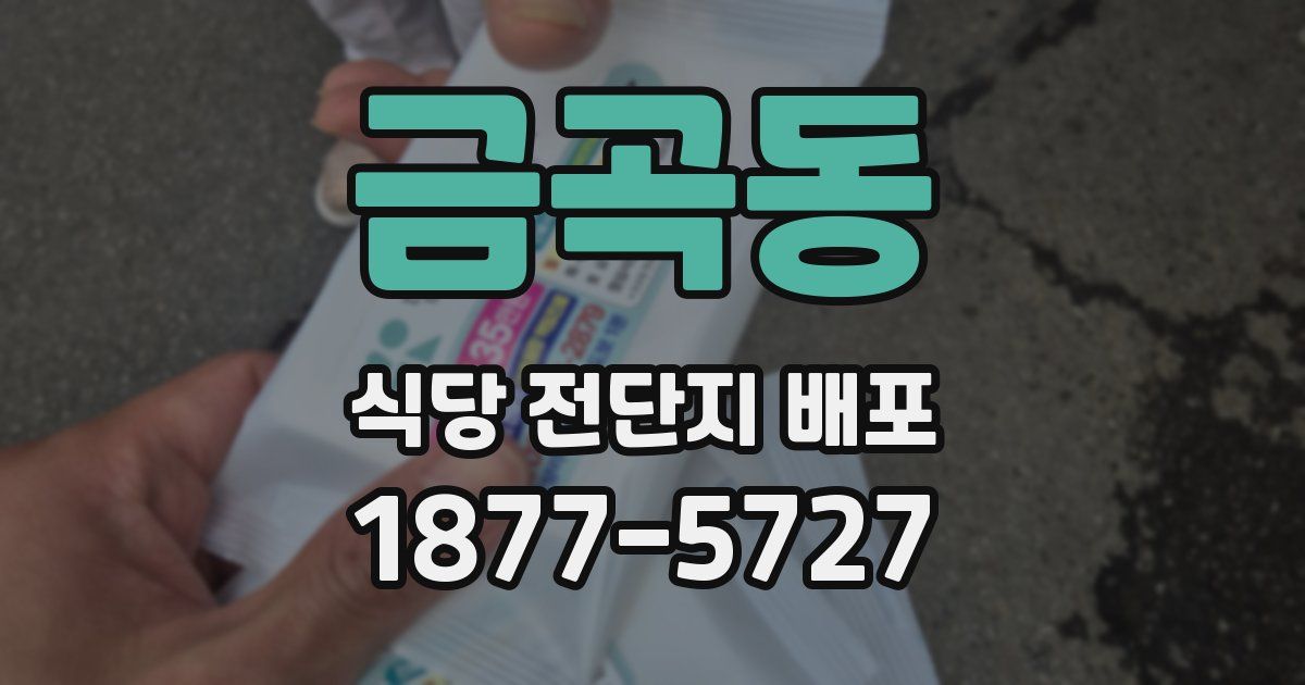 금곡동 식당 전단지 배포