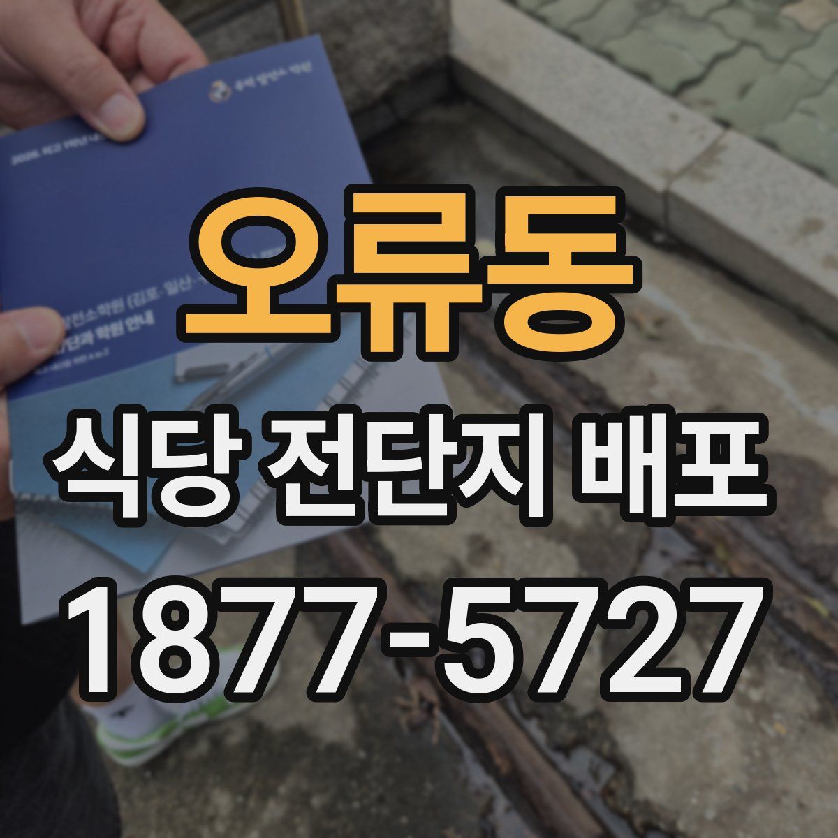 오류동 식당 전단지 배포