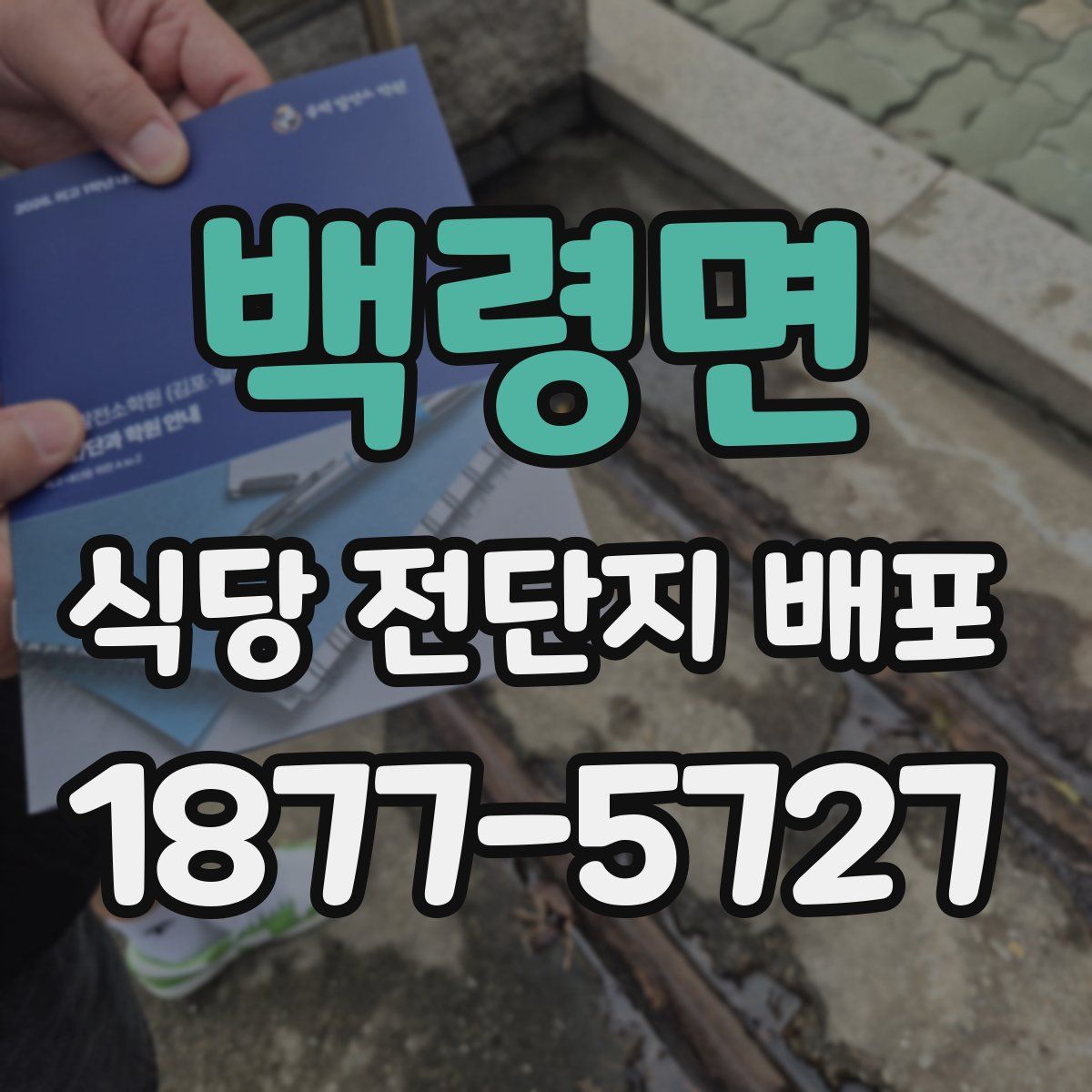 백령면 식당 전단지 배포