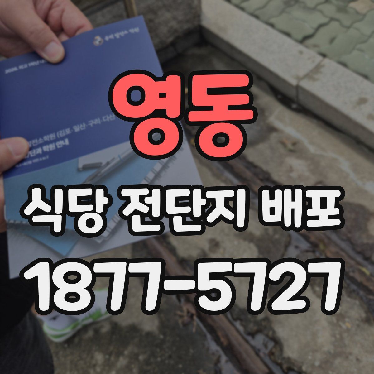 영동 식당 전단지 배포