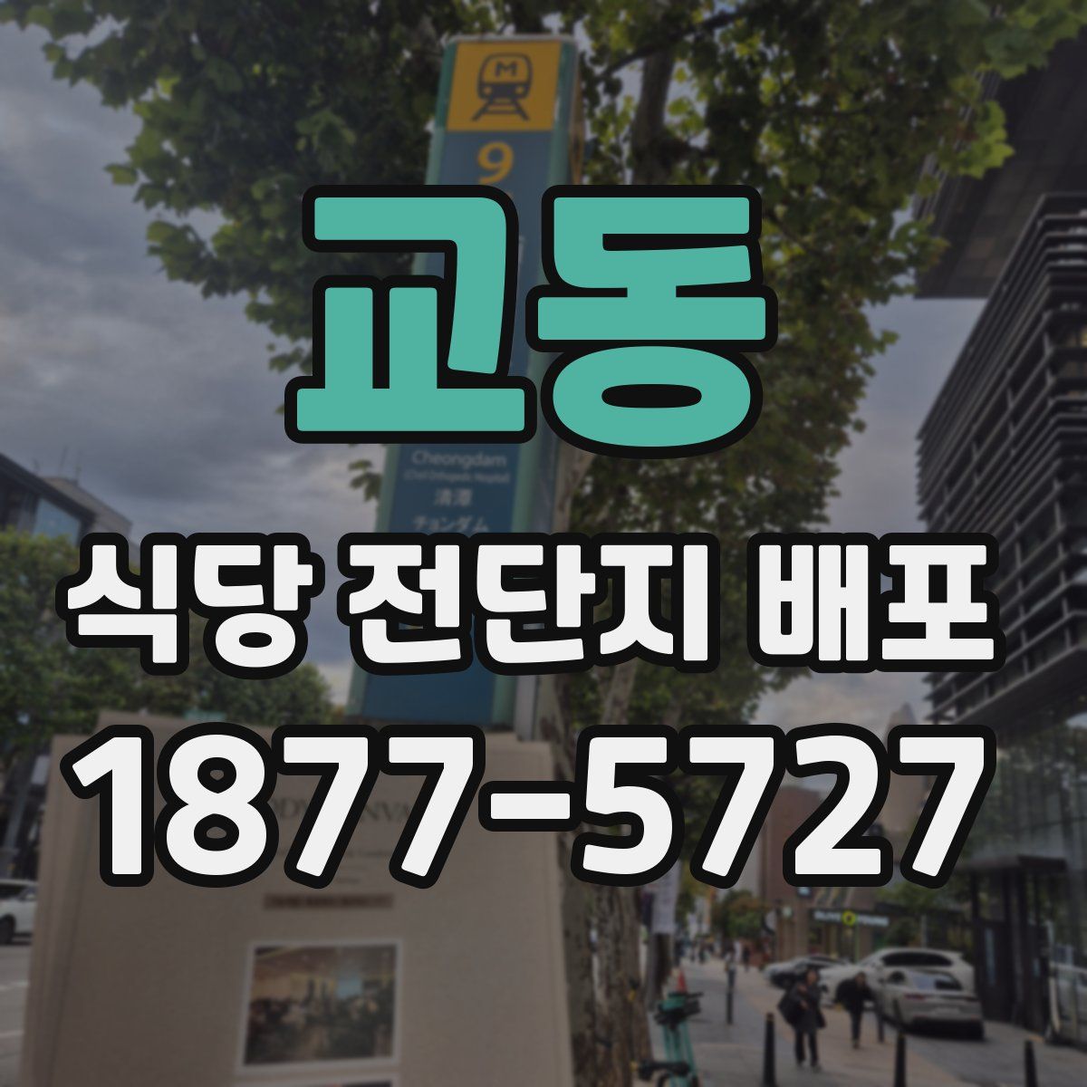 교동 식당 전단지 배포