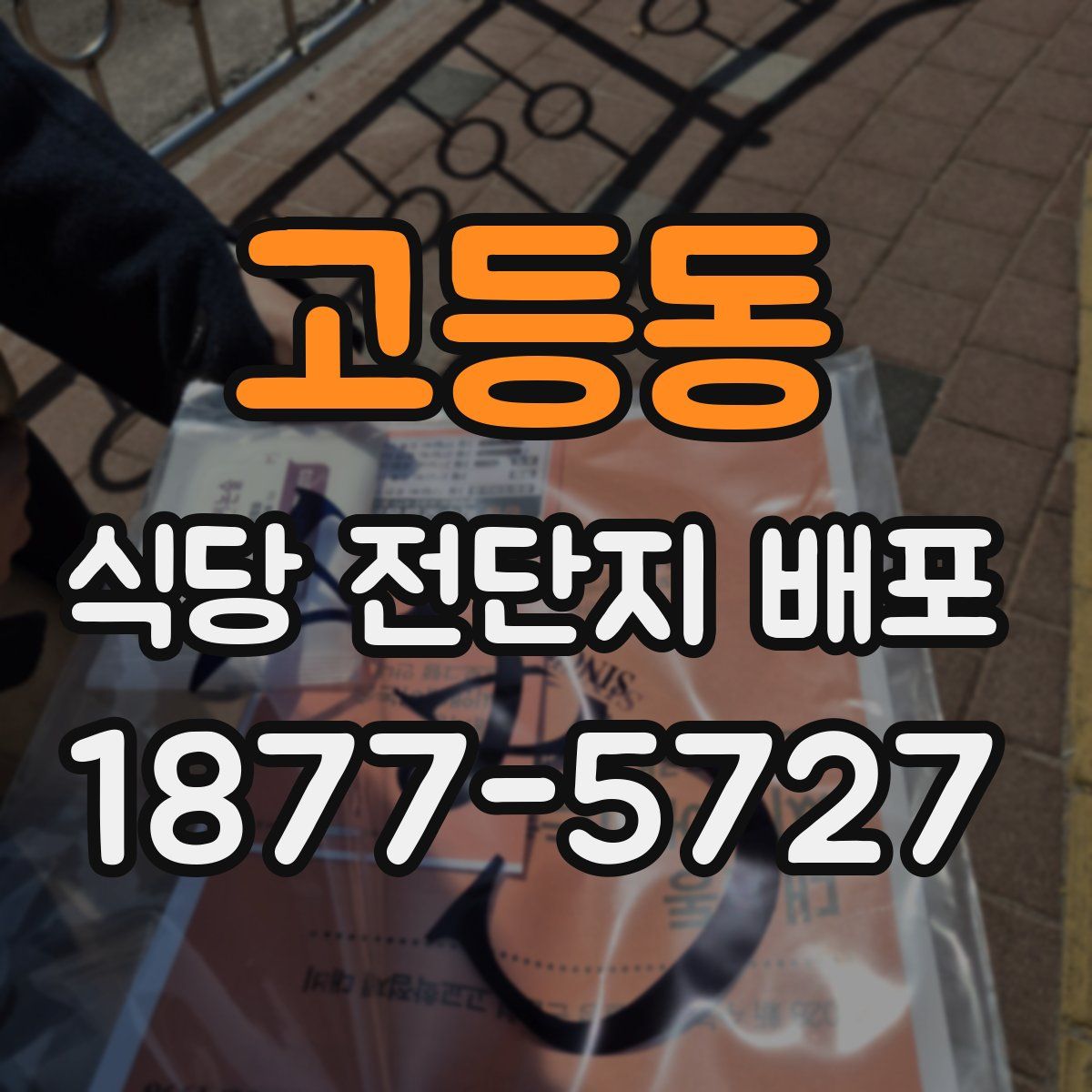 고등동 식당 전단지 배포