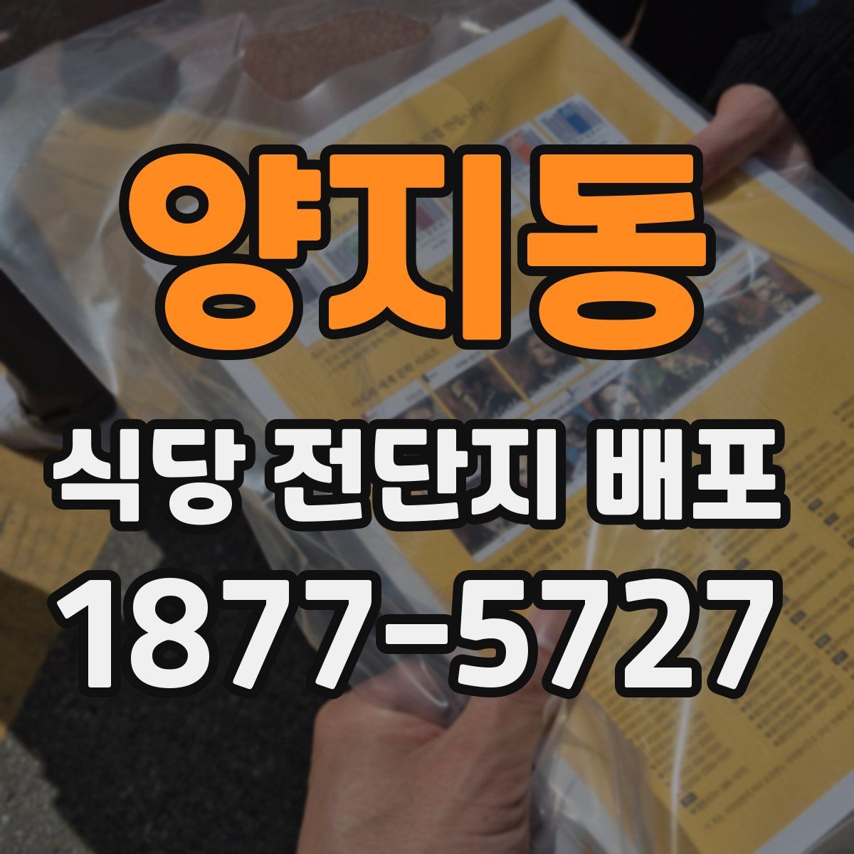 양지동 식당 전단지 배포