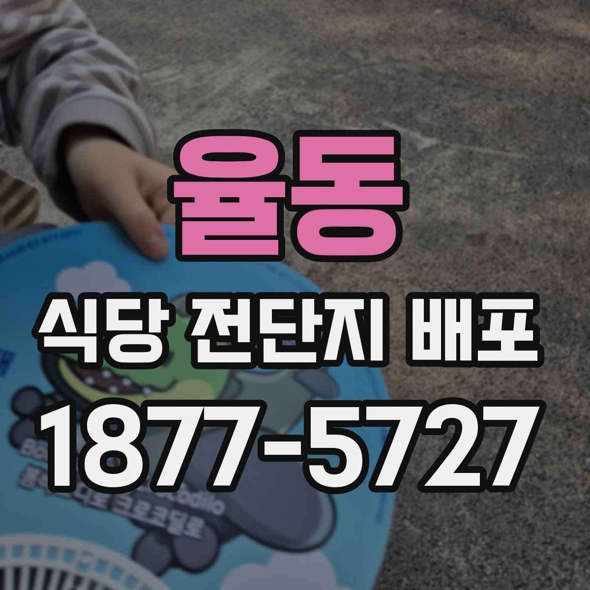 율동 식당 전단지 배포