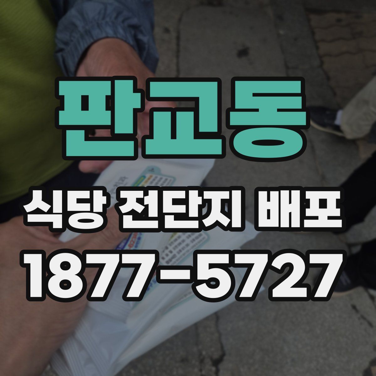 판교동 식당 전단지 배포