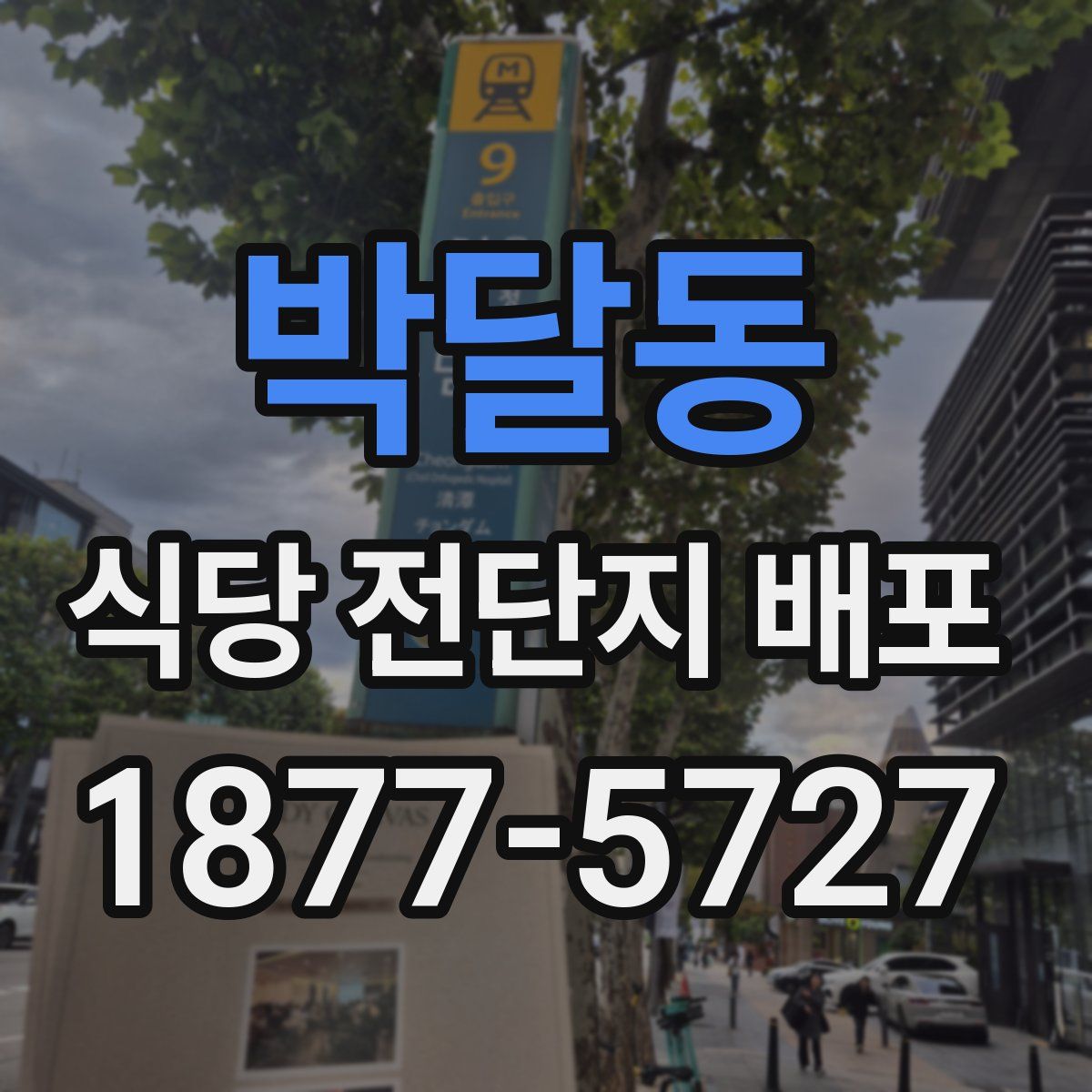 박달동 식당 전단지 배포