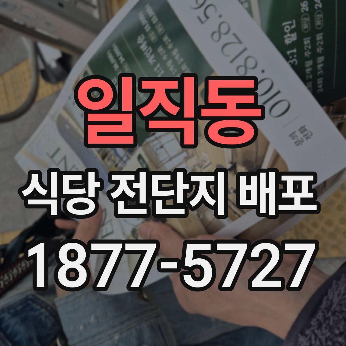 일직동 식당 전단지 배포
