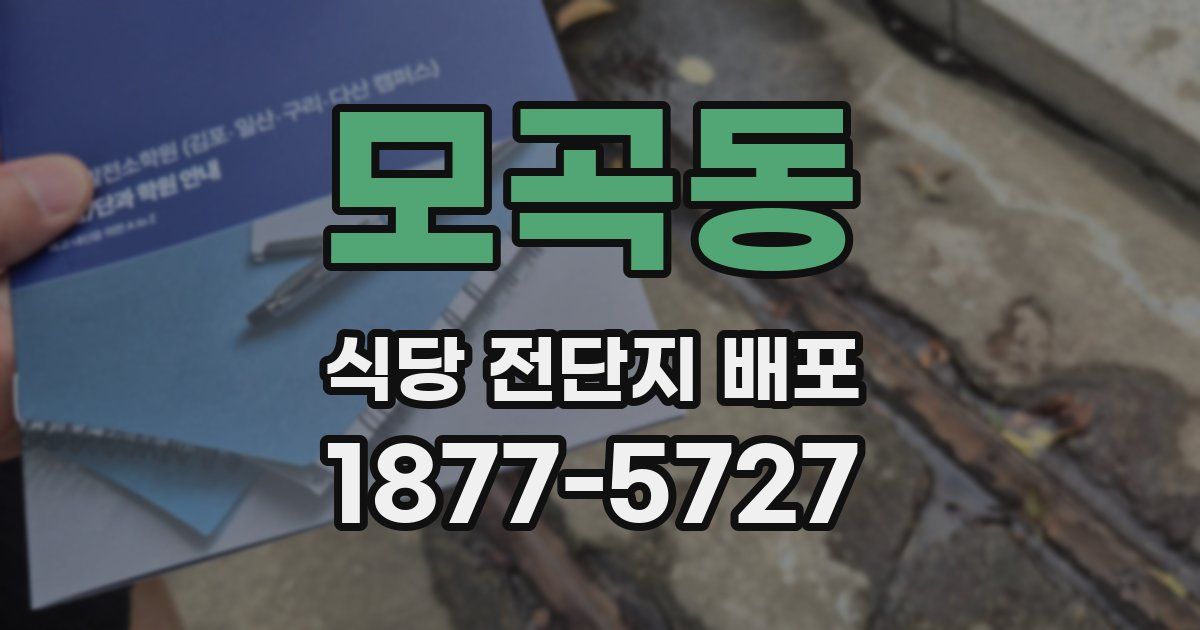 모곡동 식당 전단지 배포