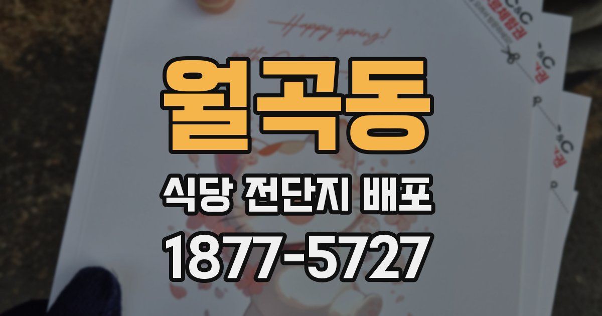 월곡동 식당 전단지 배포