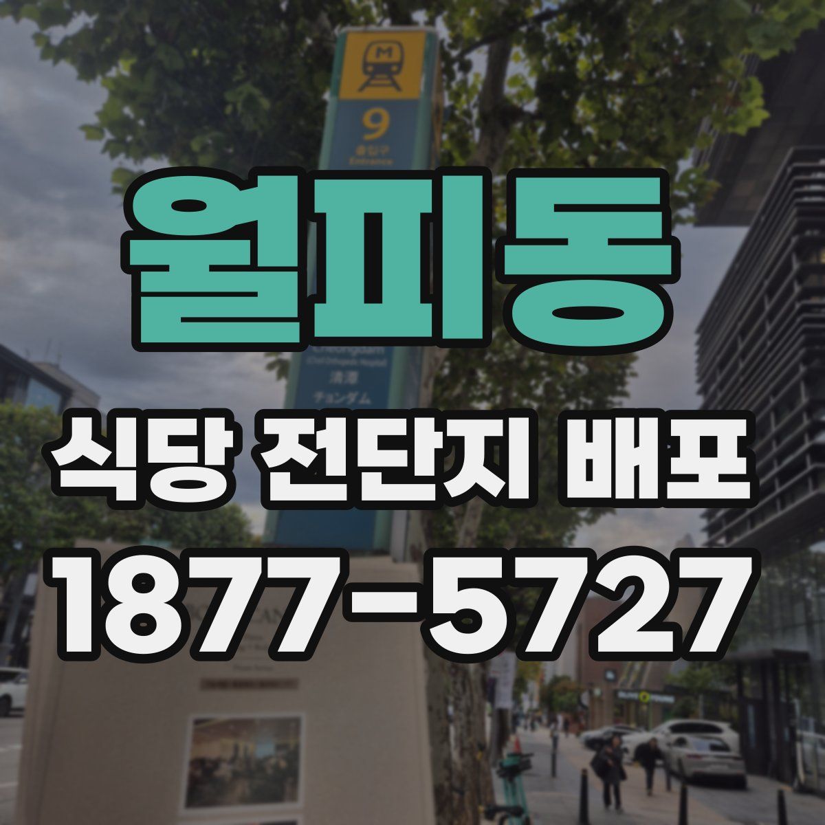 월피동 식당 전단지 배포