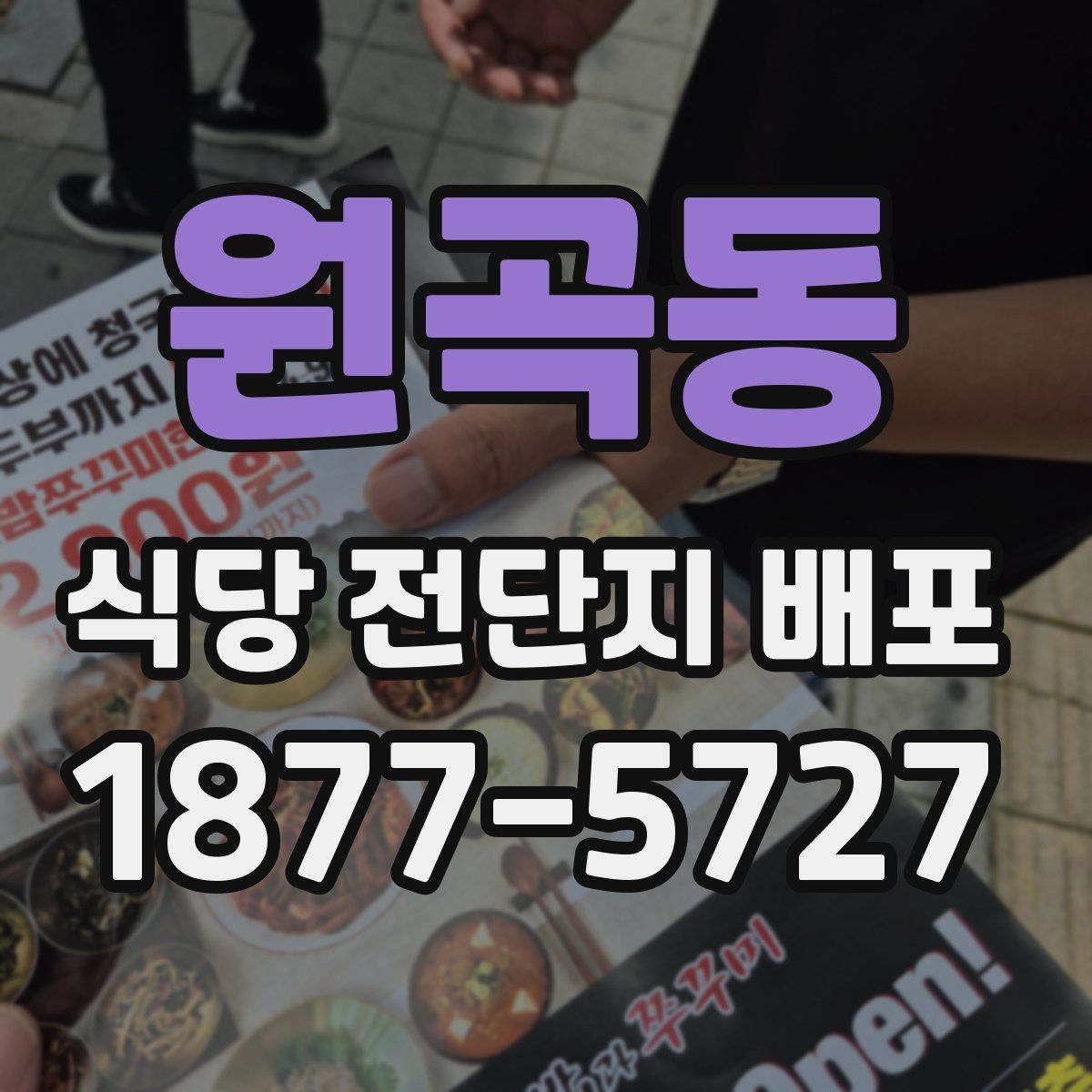 원곡동 식당 전단지 배포