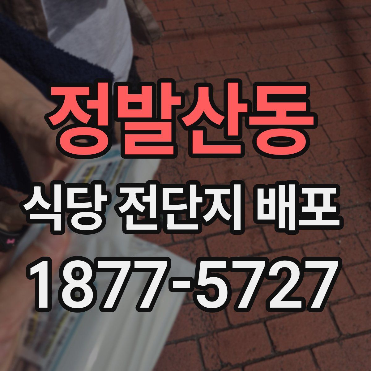 정발산동 식당 전단지 배포