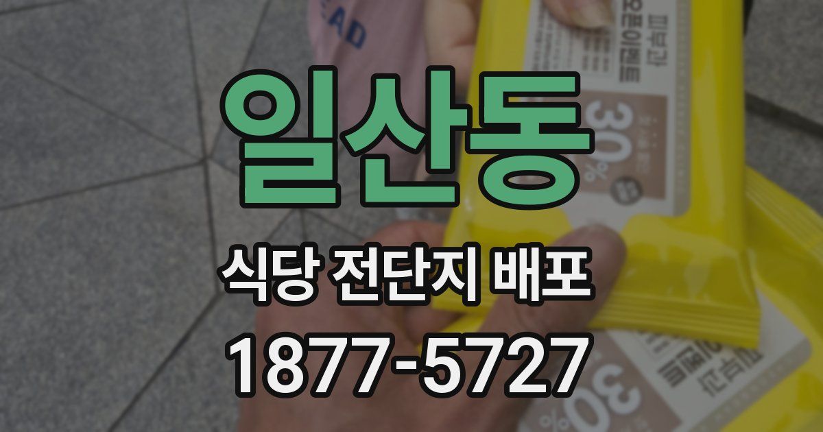 일산동 식당 전단지 배포