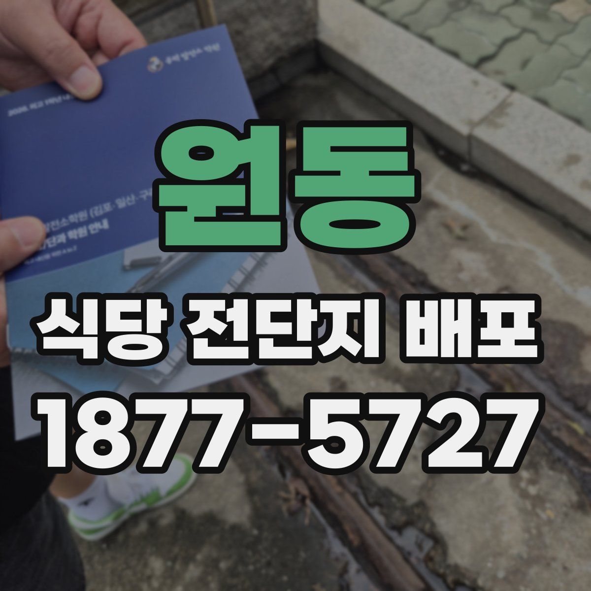 원동 식당 전단지 배포